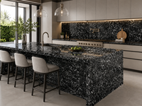 Dalles de marbre noir Seashells avec motif fossile pour îlots de cuisine, plans de travail, tables à manger, revêtements de sol et grands panneaux muraux