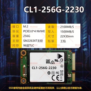 Server Solid State Drive M.2 Nvme2230 Solid State Drive CL1-256G-2230 - Product Image 2