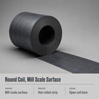 Bobine d'acier au carbone laminé à chaud CT de 1,5 à 12 mm, finition noire, pour le profilage à froid et les structures