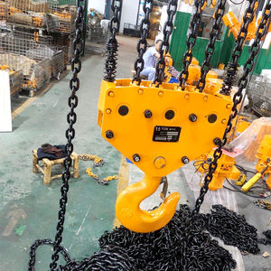 Palan de levage Chine palan à chaîne électrique 220v-440v palan à chaîne électrique <span class=keywords><strong>25ton</strong></span> grue palan HHBB grue à chaîne électrique - Product Image 5