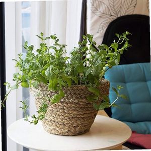 Einfache Rattan-Pflanzenkörbe für Kartoffeln, mit Acrylspitzen für Auto und Gärtnerei - Product Image 5