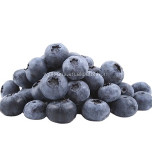 IQF Замороженная черника отличного качества оптом и в розницу - Product Image 2