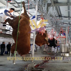 Machine automatique durable pour l'épilation des bovins, en acier inoxydable de qualité alimentaire, équipement d'abattage du bétail pour ligne d'abattage de bœuf - Product Image 6