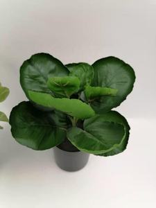 Hex artificiel <span class=keywords><strong>en</strong></span> plastique de petite taille, 1 pièce, plante verte, bonsaï, monstera, Fatsia japonaise, arbres <span class=keywords><strong>en</strong></span> <span class=keywords><strong>pot</strong></span> - Product Image 6