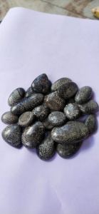 Meilleures pierres précieuses de corail noir fossile naturel, formes variées, certifiées naturelles du Rajasthan pour la fabrication de bijoux, Alba Gems, bon prix - Product Image 3