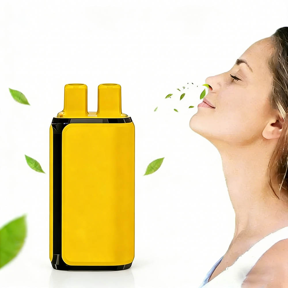 Flavored Air Vaporizer