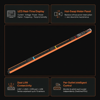 PDU Inteligente Vertical Personalizable con Control Individual de Tomas para Distribución de Energía en Gabinetes de Servidores de 42U