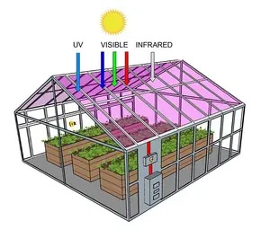 Zonne-energie Hydrocultuur Kas Fabricage Solar Verwarming Voor Kas