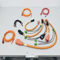 Câblage haute tension pour véhicules électriques, faisceau de câbles, pack de batteries, câble d'intégration de charge, assemblage OEM ODM personnalisé