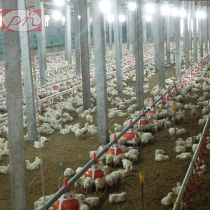 Sistema de Línea de Alimentación Totalmente Automático PH Comedero de Plato y Bebedero de Niple Equipo de Avicultura para Productos de Pollo de Engorde - Product Image 1