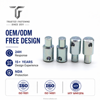 TianFang pengencang CNC presisi kustom dalam aluminium, baja atau kuningan, pin langkah dengan lubang samping untuk Mesin Industri, OEM