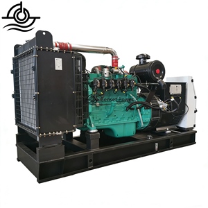 Generador de <span class=keywords><strong>Gas</strong></span> de 1000kw, Generador de GNC, Generador de <span class=keywords><strong>Gas</strong></span> de Reserva, Frecuencia Variable, <span class=keywords><strong>Precio</strong></span> de Fábrica - Product Image 1