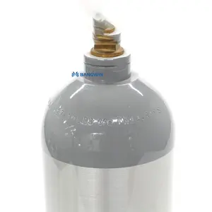 2.5LB 5LB 10LB 15LB 20LB CO2-Tank-Neuer Aluminium zylinder mit Cga320-Ventil mit Tragegriff