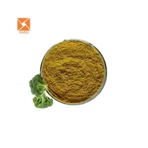 2024 Hot Selling Pure Broccoli Sprout Extract Broccoli Sprout Powder Price