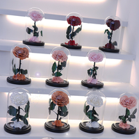 Roses éternelles conservées en gros du Yunnan, boîte en verre avec dôme pour cadeaux de la Saint-Valentin, Noël, décoration - Longue durée de vie 3-5 ans