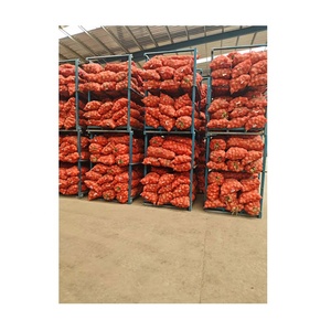 Fournisseur d'oignons de qualité fraîche Prix d'exportation d'oignons ronds Vente en gros d'oignons rouges frais naturels - Product Image 3