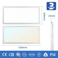 Plafonnier LED en matériau PC Shingel 2x2 2x4 60x60 595x595 600x600mm 36W-65W 6000K IP66 CRI80 Usage Commercial Garantie 5 Ans
