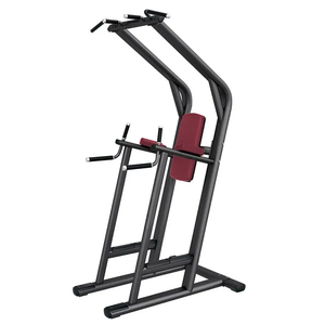 Station de musculation commerciale pour tractions, levées de jambes et dips, pour usage en salle de sport intérieure, entraînement de force et fitness. - Product Image 5