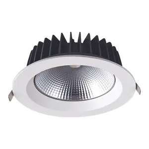 RONSE Ceiling Lights Led Downlight Ceiling Recessed COB Led Down Light 10w 20w 30w 40w 50w 60w
