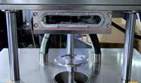 Machine de remplissage et de scellage sous vide semi-automatique à 15% de réduction pour la conservation des fruits en conserve/aliments pour animaux de compagnie en conserve