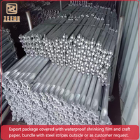 Sistema de Andamios Layher-Ringlock Galvanizado en Caliente de Alta Resistencia, Reutilizable y Fácil de Montar, Marca ZEEMO, para Construcción