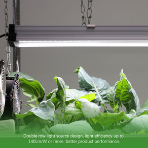 Lampe de culture LED Fruit Full, CRI 90 élevé, IP44, construction en aluminium, garantie 3 ans, favorise la floraison - Product Image 4