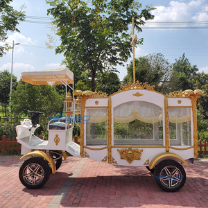 Vehículo de Transporte Especial para Ceremonias Fúnebres, Carroza Fúnebre Clásica para Eventos Especiales - Product Image 6