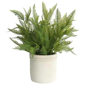 <span class=keywords><strong>Mini</strong></span>-plantes artificielles <span class=keywords><strong>en</strong></span> <span class=keywords><strong>pot</strong></span> A-LIFE 23,5-25 cm, <span class=keywords><strong>eucalyptus</strong></span> et fougère, pots <span class=keywords><strong>en</strong></span> pulpe de papier résistants aux UV, multi-pièces pour la décoration de la maison et du bureau - Product Image 4