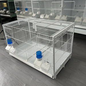 Exclusivo 	 <span class=keywords><strong>Jaula</strong></span> para Pájaros Extra Grande 	 <span class=keywords><strong>Jaula</strong></span> de Cría para Palomas de Metal 	 Jaulas para Pájaros 	 Jaulas Grandes para la Cría de Aves 	 	 <span class=keywords><strong>Jaula</strong></span> Grande para Pájaros - Product Image 3