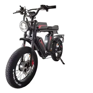 20 Inch 48v Electric Cargo E Bike 55kmh Fast Dual Motor 2000w Fat Tire Long Range Triple Battery Ebike For Delivery Food