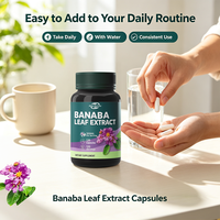 Capsules d'extrait de feuille de Banaba en marque privée OEM, 300 mg par dose, 120 capsules végétariennes, antioxydant et soutien général au bien-être