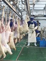 Machine de qualité pour ligne d'abattage de moutons, équipement d'abattoir pour chèvres et agneaux, matériel de boucherie, traitement du mouton