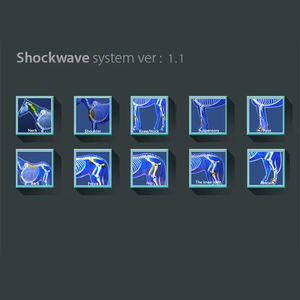 पशुओं में दर्द राहत के लिए पोर्टेबल शॉकवेव थेरेपी मशीन शॉक वेव फिजियोथेरेपी - Product Image 2