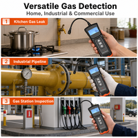 Détecteur de fuite de gaz combustible portable, détecteur de méthane et de propane naturel avec sonde flexible, écran LCD, prix d'usine