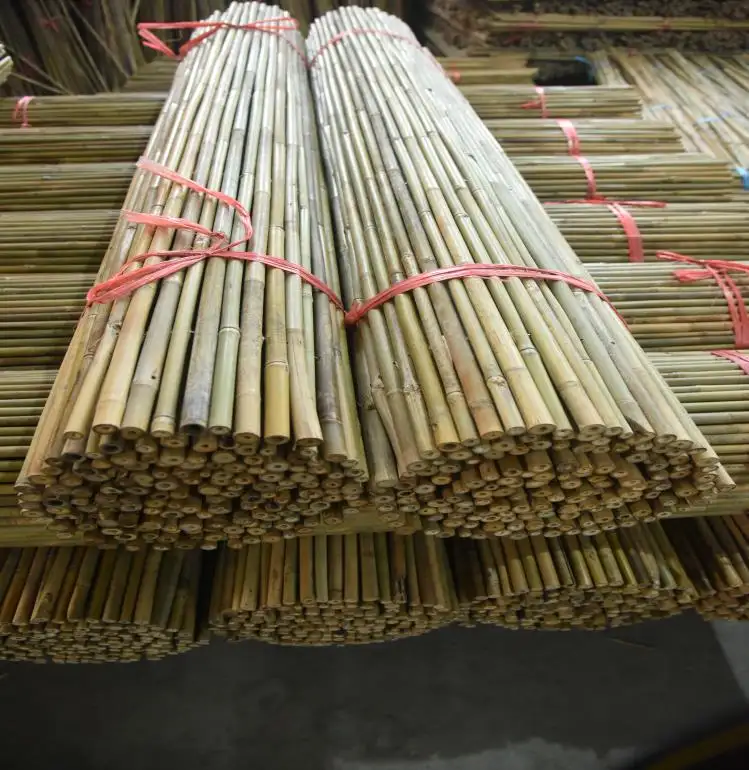 Cerca de bambu natural Tonkin natural enrolada, cerca de bambu totalmente nova para privacidade no jardim