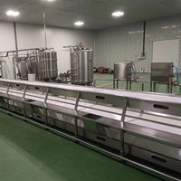 2025 Mango Sap Pulp Verwerkingslijn Voedselsterilisator Pasteuriseur Automatisch 304 RVS ISO 9001 Gecertificeerd