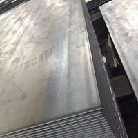 Tôles et plaques en acier au carbone laminé à chaud de première qualité, résistantes au feu, pour applications murales de villas, conception industrielle, projet global