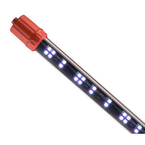Luz Led subacuática para acuario, 11000K, RGB, <span class=keywords><strong>Mayin</strong></span>, 12, 20, 48, 72 y 96 pulgadas - Product Image 5