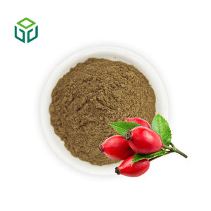 ผงสกัดโรสฮิปออร์แกนิกธรรมชาติ ได้รับการรับรองมาตรฐาน จิ่วหยวน ซัพพลาย คุณภาพสูง เกรดอาหาร บรรจุขวด/ถัง - Product Image 1