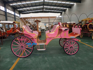 Diskon kereta kuda wisata Cinderella kualitas tinggi kereta tamasya pernikahan elektrik 2 baris mewah klasik - Product Image 6