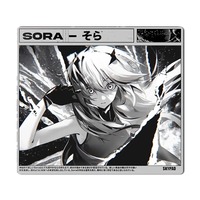 Tapis de souris de jeu Skypad SORA XXL en verre - Surface givrée pour FPS/bureau, tapis de jeu personnalisé à glisse fluide et renforcé