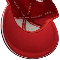 Casquettes de baseball pour hommes personnalisées à 6 panneaux, logo structuré rouge en relief, séchage rapide, sport, 100% polyester, broderie à la main
