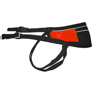 Doble gancho manos libres elástico correr perro plomo <span class=keywords><strong>Husky</strong></span> Mushing ejercicio Bikejoring perro Canicross Skijoring bolsa correr cinturón - Product Image 4