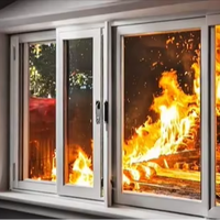 Ventana de Aluminio con Clasificación de Resistencia al Fuego, Diseño Moderno, Vidrio Hueco Ignífugo, Personalizable y de Alta Calidad