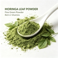 Bubuk Daun Moringa Alami Murni Berkualitas Tinggi Bubuk Moringa Grosir Bubuk Daun Moringa