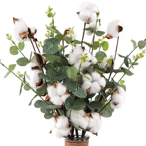 Dried Cotton Real Floral Stems Flowers 4 Cotton Heads With Eucalyptus Leaves For Home Farmhouse Floral Decoration
