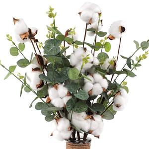 Dried <strong>Cotton</strong> Real Floral <strong>Stems</strong> Flowers 4 <strong>Cotton</strong> Heads With Eucalyptus Leaves for Home Farmhouse Floral Decoration - Product Image 1