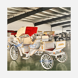 Carrosses de Mariage Électriques Spéciaux pour Visites Touristiques, Prix Usine, Transport de Luxe, à Vendre - Product Image 1