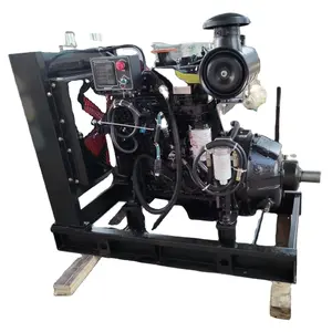 Factory Hot Sale Ricardo Dieselmotor mit Kupplung und Riemens cheibe Usel für Pumpe