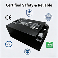 Batería de Litio LiFePO4 para Motocicleta, 72V/60V 75Ah/150Ah, Personalizada, Eléctrica, de 2 y 3 Ruedas